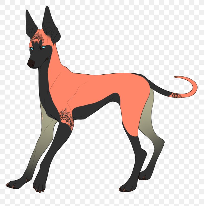 Dog Breed Italian Greyhound Leash, PNG, 1024x1035px, Dog Breed, Breed, Carnivoran, Dog, Dog Like Mammal Download Free