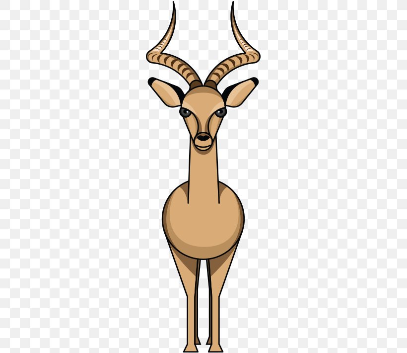 Impala Antelope Deer Animal Zoo, PNG, 375x710px, Impala, Animal, Antelope, Antler, Deer Download Free
