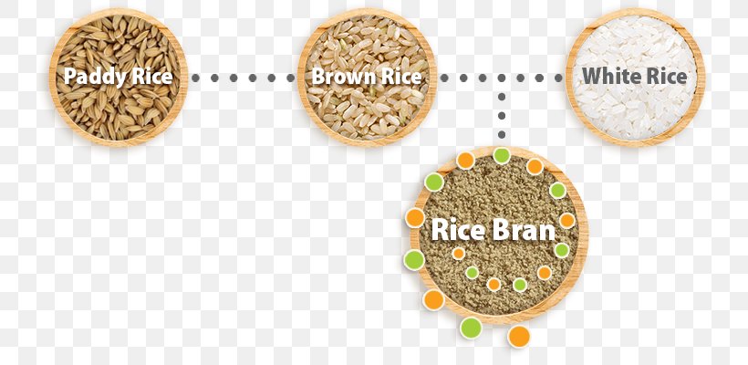 Rice Bran Oil Vegetarian Cuisine Oryza Sativa Food, PNG, 741x400px, Bran, Animal  Feed, Brown Rice, Commodity,