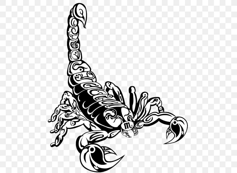 Scorpion Tattoo Artist Drawing, PNG, 502x600px, Scorpion, Arachnid, Arm ...