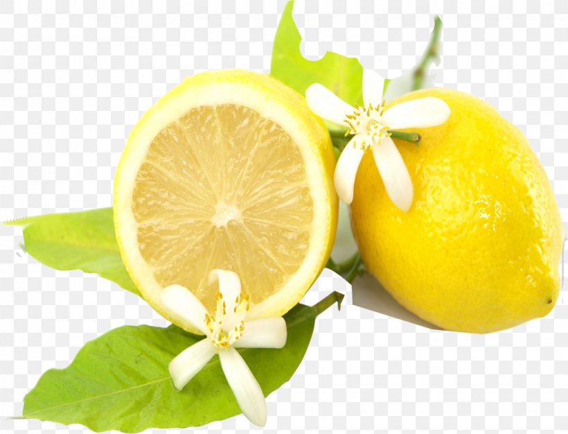 Tea Lemon-lime Drink Gong Cha, PNG, 1633x1248px, Tea, Auglis, Bitter Orange, Citric Acid, Citron Download Free