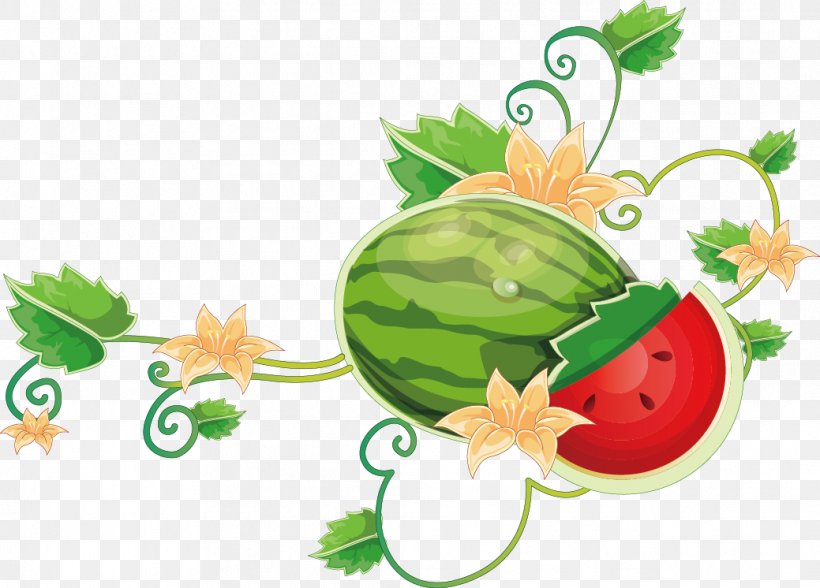 Common Grape Vine Wine Watermelon, PNG, 1039x746px, Vine, Citrullus, Cucumber Gourd And Melon Family, Diet Food, Flower Download Free