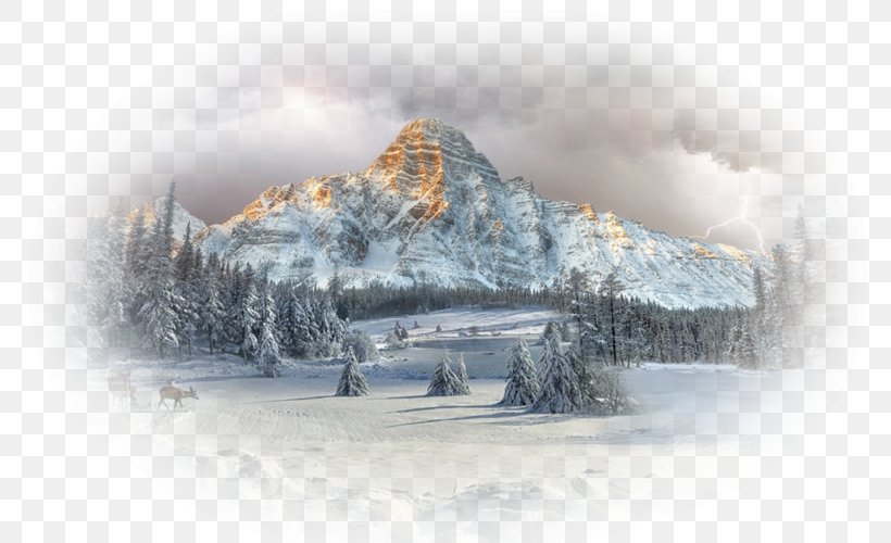 Desktop Wallpaper Mount Chephren Forest Winter Landscape, PNG, 800x500px, Forest, Canadian Rockies, Cloud, Cloud Forest, Freezing Download Free