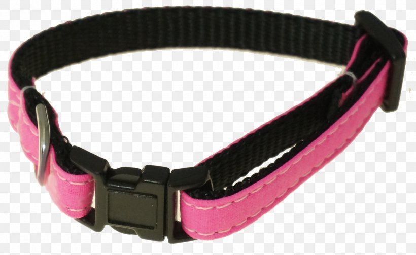 Dog Collar Leash Pet, PNG, 1280x786px, Collar, Belt, Bow Tie, Dog, Dog Collar Download Free