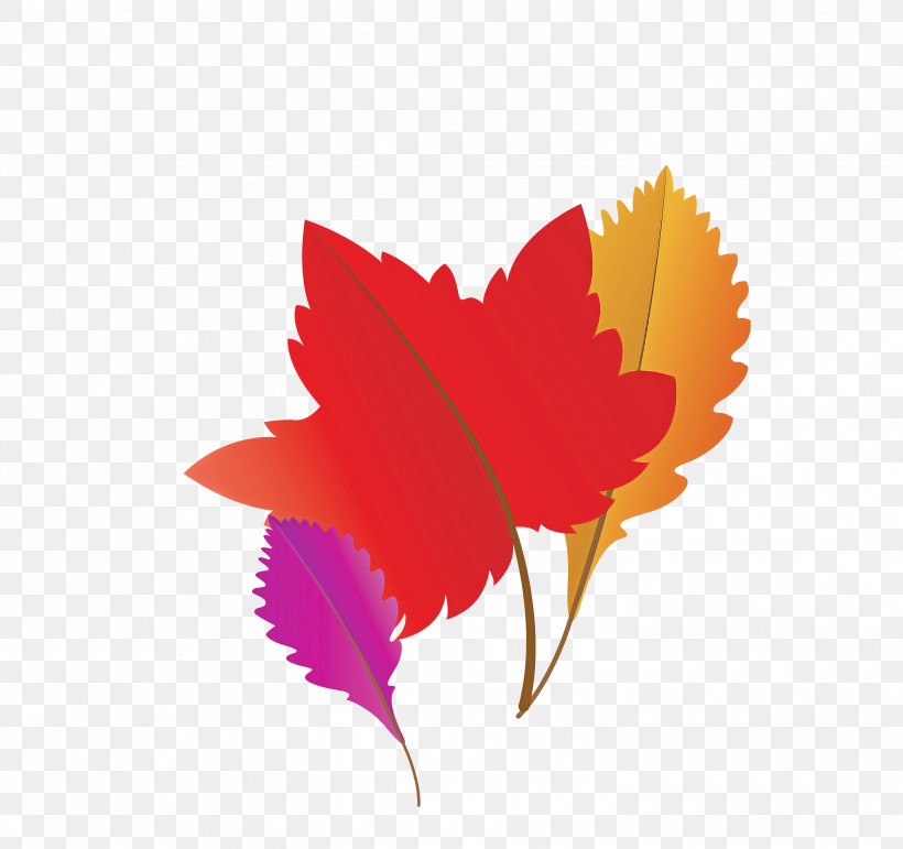 Maple Leaf, PNG, 3000x2824px, Autumn Leaf, Branch, Cartoon Leaf, Fall Leaf, Fern Download Free