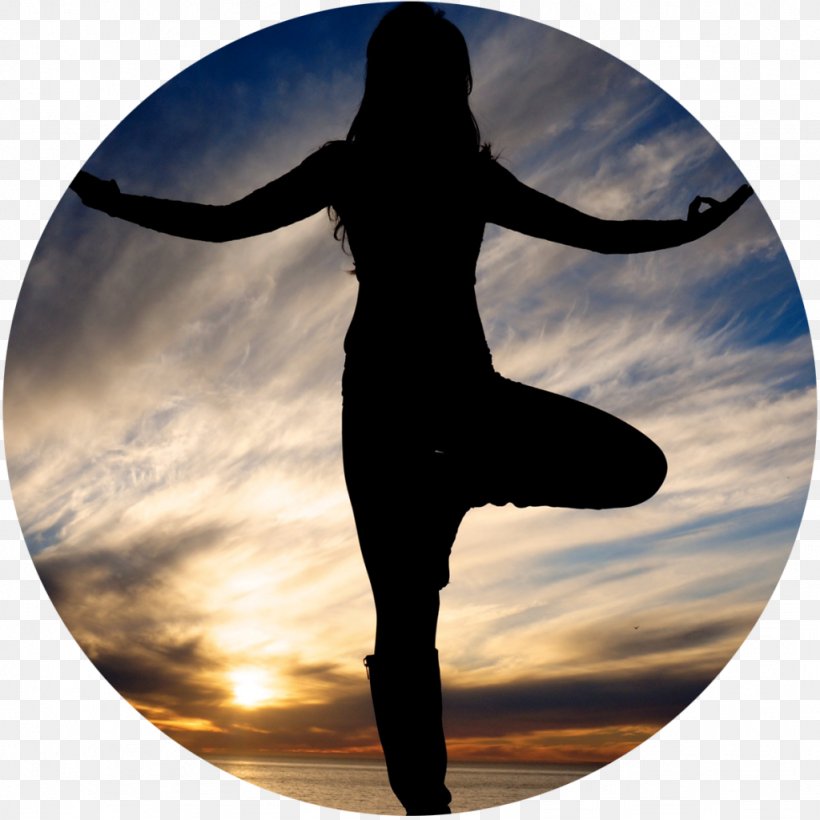 Physical Fitness Silhouette Happiness Sky Plc, PNG, 1024x1024px, Physical Fitness, Balance, Happiness, Meditation, Silhouette Download Free