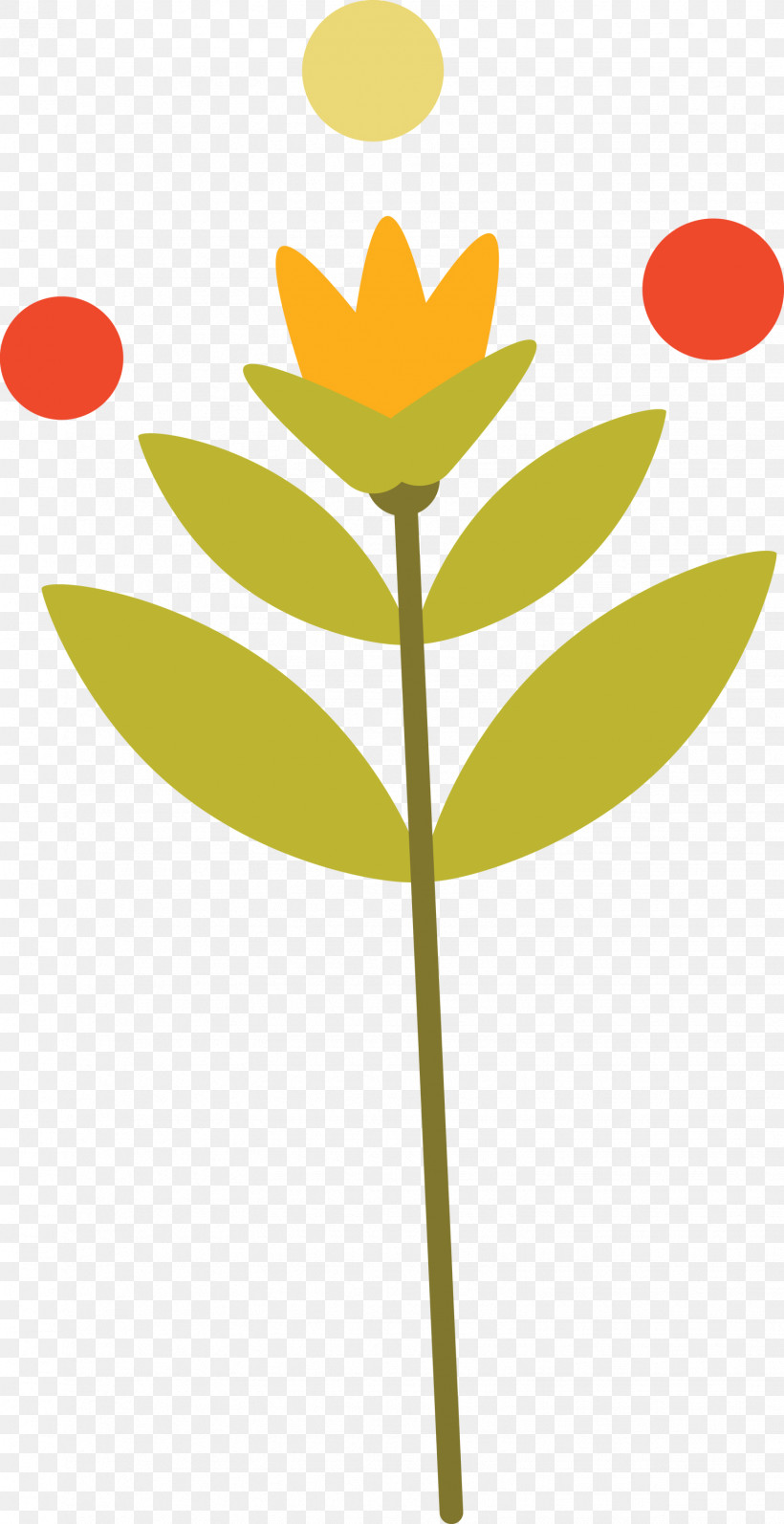 Plant Stem Petal Leaf Yellow M-tree, PNG, 1543x3000px, Plant Stem, Biology, Flower, Leaf, Line Download Free