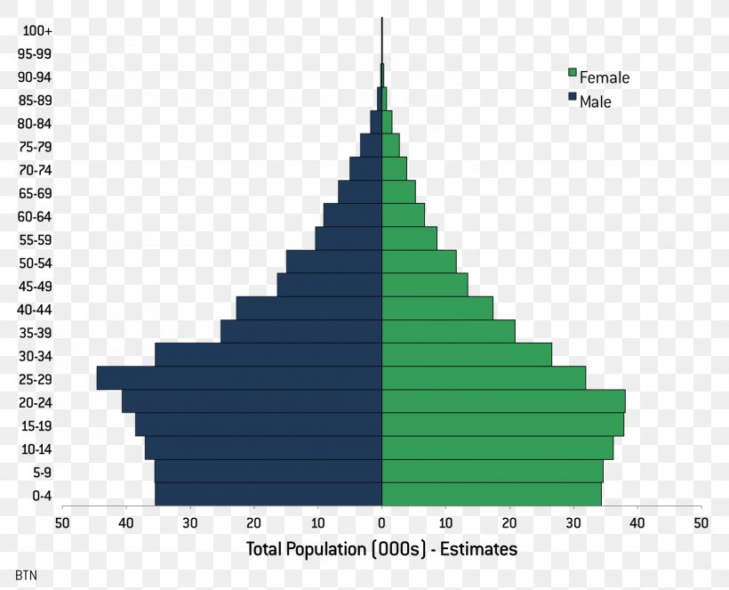 Population Rate Literacy Demography Statistics, PNG, 1588x1285px, Population, Christmas Tree, Cone, Demography, Dependency Ratio Download Free