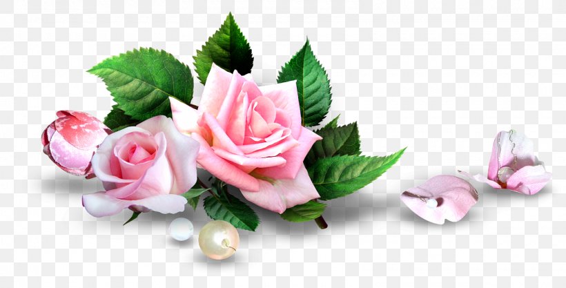 Rose Pink Flower Desktop Wallpaper, PNG, 1600x814px, Rose, Artificial Flower, Cut Flowers, Floral Design, Floristry Download Free