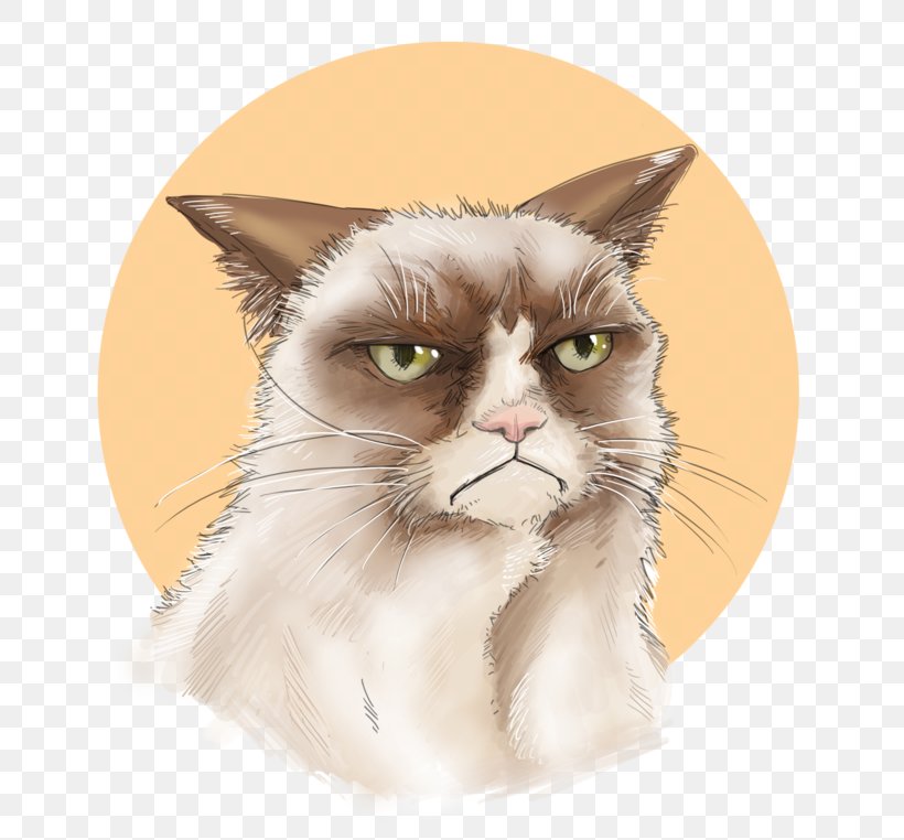 Whiskers Kitten Domestic Short-haired Cat Grumpy Cat, PNG, 800x762px, Whiskers, Burmese, Carnivoran, Cat, Cat Like Mammal Download Free