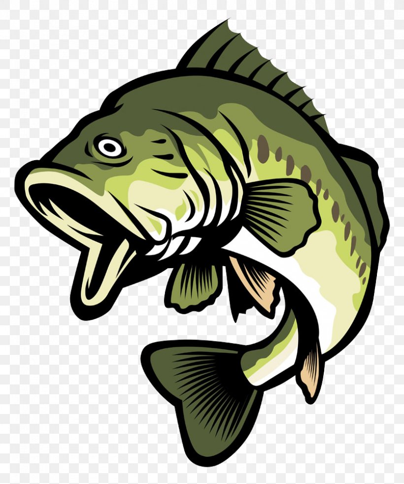 Bass Stock Illustration Clip Art, PNG, 835x1000px, Bass, Drawing, Fish, Fishing, Green Download Free