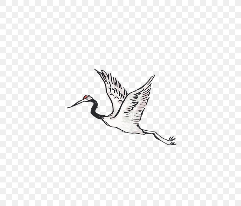 Crane Bird, PNG, 700x700px, Crane, Beak, Bird, Crane Like Bird, Drawing Download Free