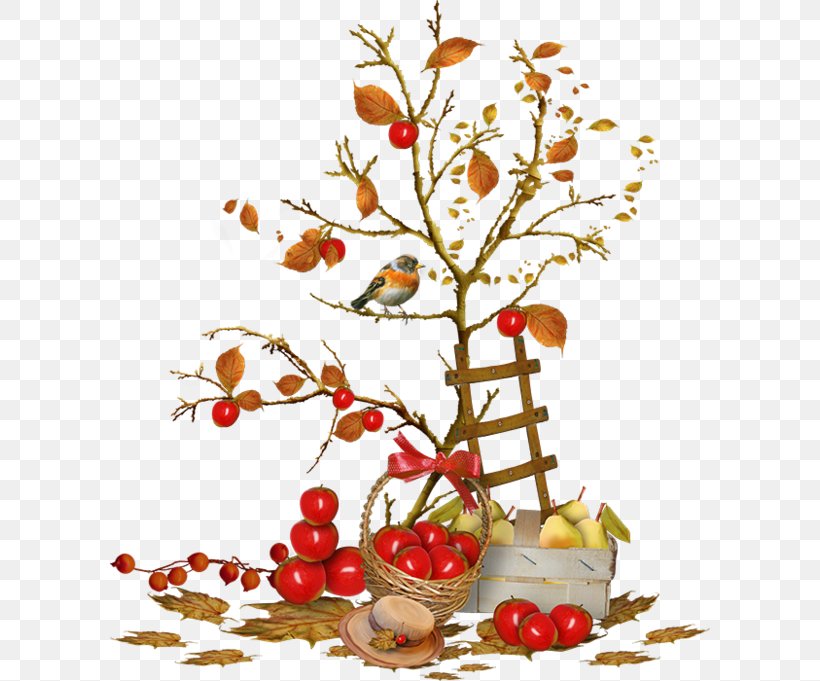 Family Tree Background, PNG, 600x681px, Autumn, Acerola Family, Apple, Berry, Blog Download Free