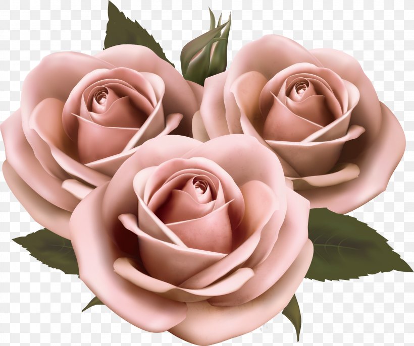 Flower Rose Pink Clip Art, PNG, 2089x1748px, Rosa Chinensis, Cut Flowers, Floral Design, Floristry, Flower Download Free