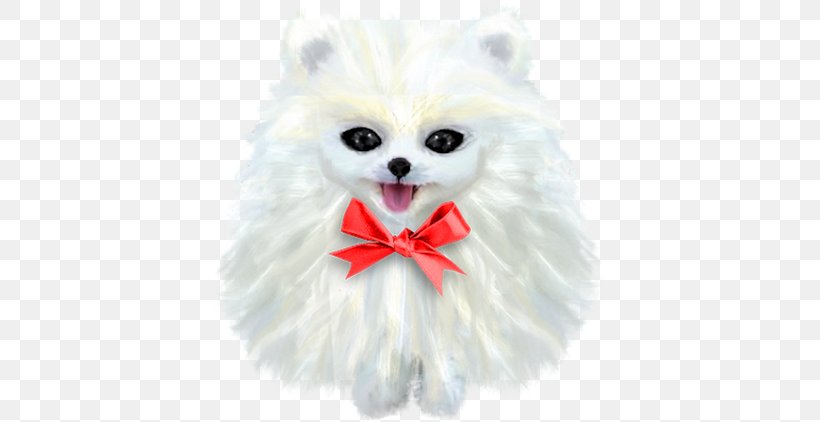 German Spitz Klein Pomeranian Japanese Spitz Volpino Png 395x422px German Spitz Klein Breed Carnivoran Companion Dog