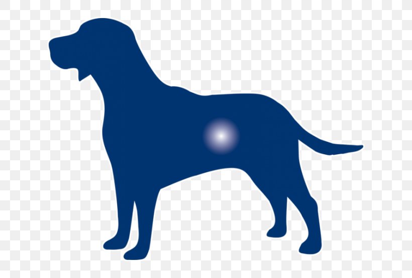 Labrador Retriever Puppy Dog Breed Sporting Group, PNG, 720x555px, Labrador Retriever, Bark, Breed, Carnivoran, Collar Download Free