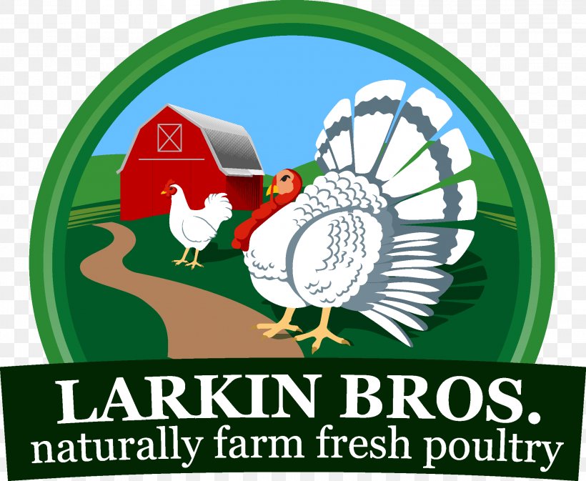 Larkin Brothers Inc. Turkey Food Farm Chicken, PNG, 2298x1888px, Turkey, Agriculture, Brand, Chicken, Colony Of Prince Edward Island Download Free