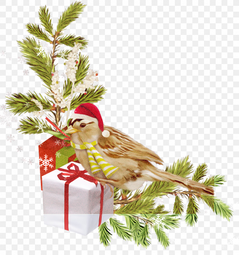 Christmas Ornaments Christmas Decoration Christmas, PNG, 1142x1220px, Christmas Ornaments, American Larch, Bird, Branch, Christmas Download Free
