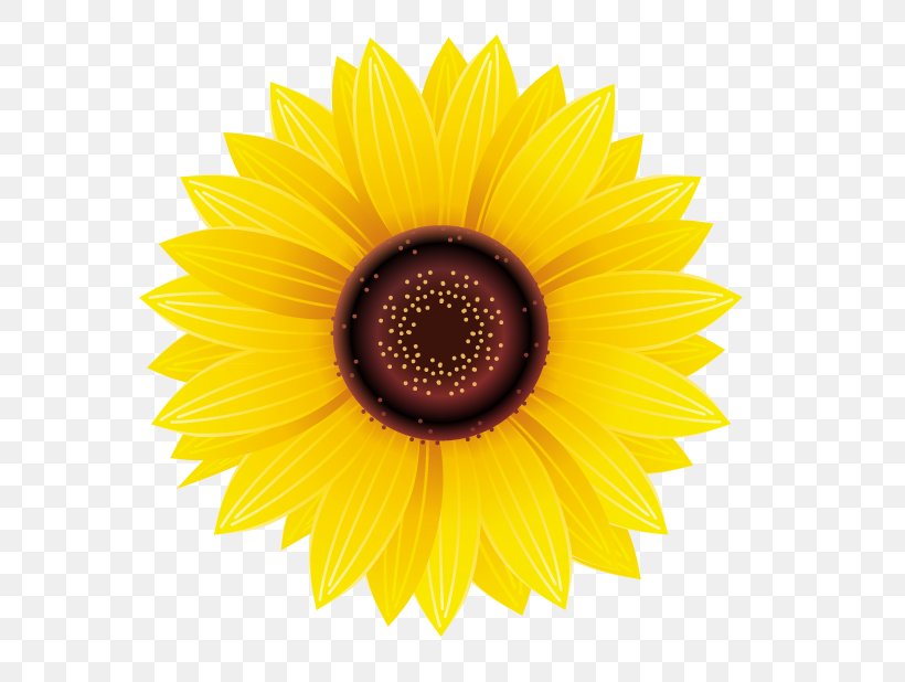 Common Sunflower Sticker Decal Yellow, PNG, 713x618px, Common Sunflower, Bumper Sticker, Close Up, Daisy Family, Decal Download Free