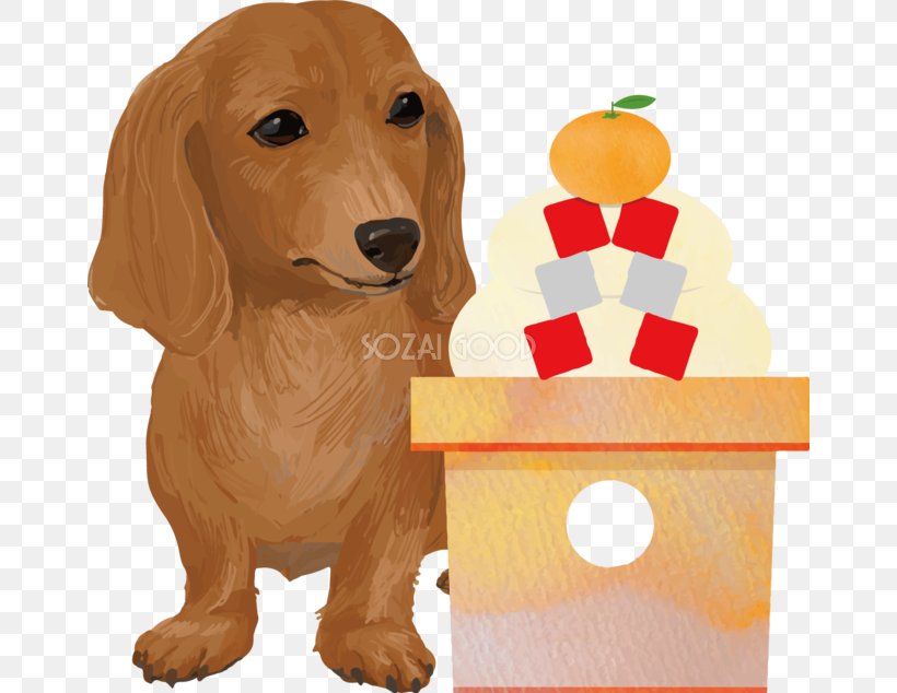 Golden Retriever Puppy Dachshund Dog Breed Companion Dog, PNG, 660x634px, Golden Retriever, Breed, Carnivoran, Companion Dog, Dachshund Download Free