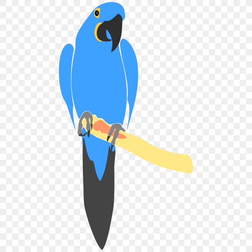 Parrot Bird Hyacinth Macaw Clip Art, PNG, 1024x1024px, Parrot, Animal, Beak, Bird, Drawing Download Free