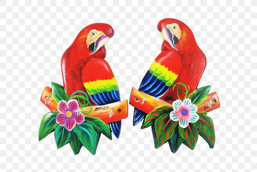 Scarlet Macaw Bird Parakeet Pet, PNG, 620x549px, Macaw, Beak, Bird, Common Pet Parakeet, Craft Download Free
