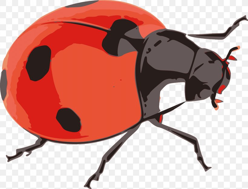 Beetle Ladybird Clip Art, PNG, 1280x975px, Beetle, Data, Information, Insect, Invertebrate Download Free
