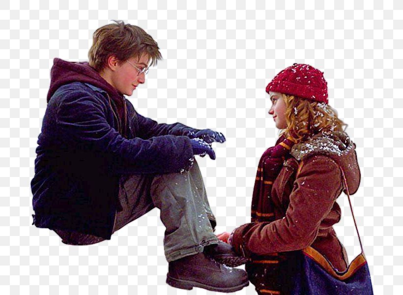 Hermione Granger Ron Weasley Harry Potter Dudley Dursley Film, PNG, 800x600px, Hermione Granger, Actor, Daniel Radcliffe, Dudley Dursley, Emma Watson Download Free