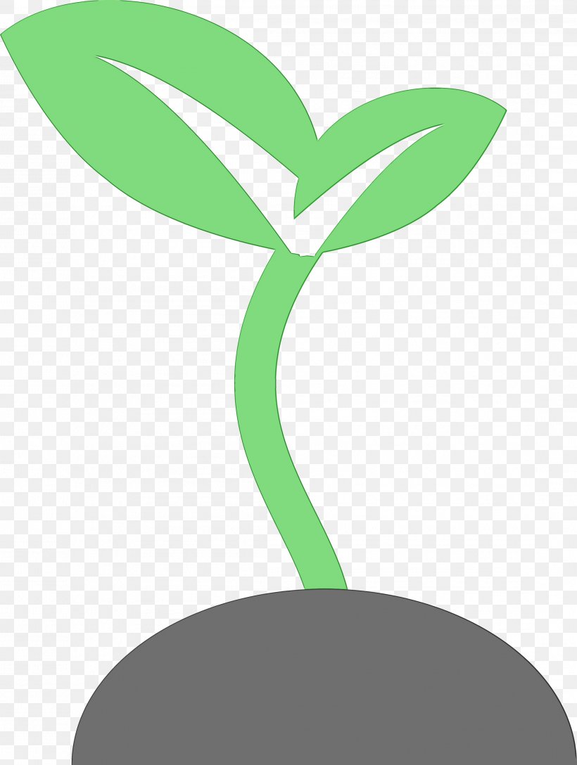 Logo Leaf Plant Stem Clip Art Product Design, PNG, 2191x2908px, Logo, Botany, Flower, Green, Leaf Download Free