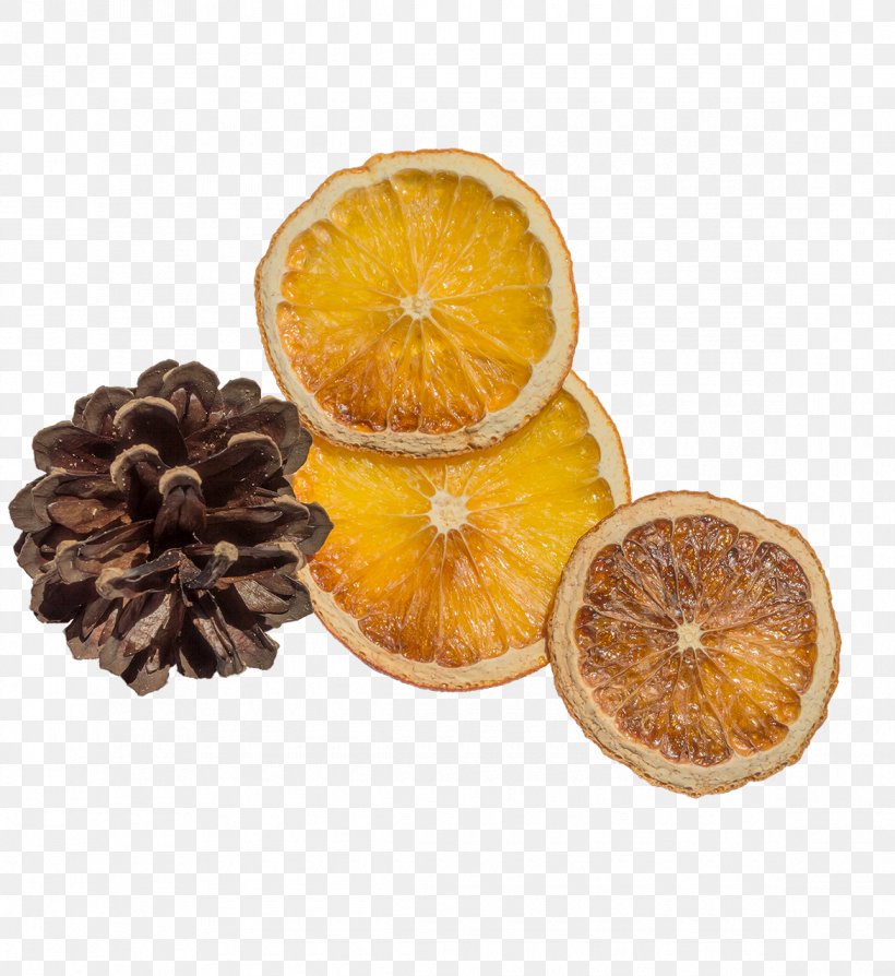 Orange Slice Download, PNG, 1170x1277px, Orange, Citrus Xd7 Sinensis, Flavor, Food, Fruit Download Free