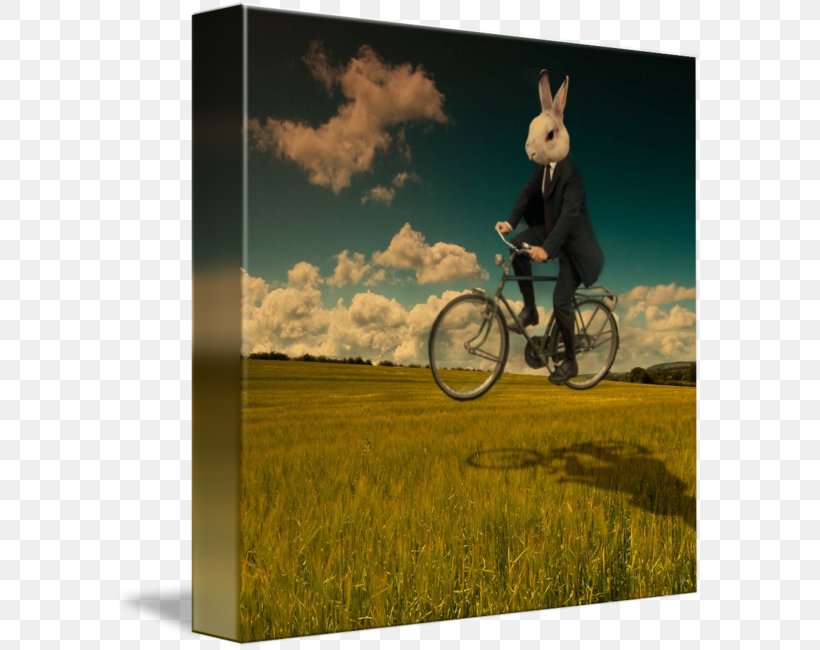 White Rabbit Surrealism Art Imagekind, PNG, 589x650px, White Rabbit, Art, Bicycle, Cycling, Digital Art Download Free