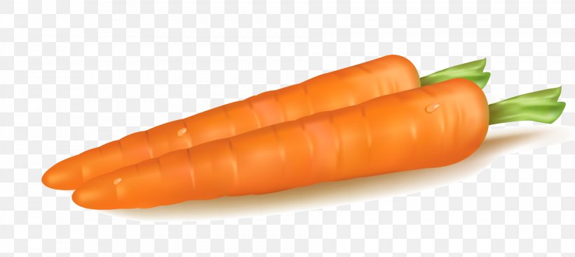 Baby Carrot Vegetable, PNG, 1886x843px, Carrot, Baby Carrot, Bockwurst, Daucus Carota, Food Download Free