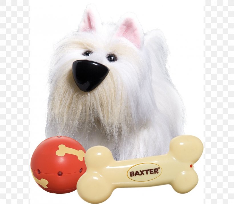 Dog Toy Child Puppy Ball, PNG, 1715x1500px, Dog, Animal, Artikel, Ball, Carnivoran Download Free