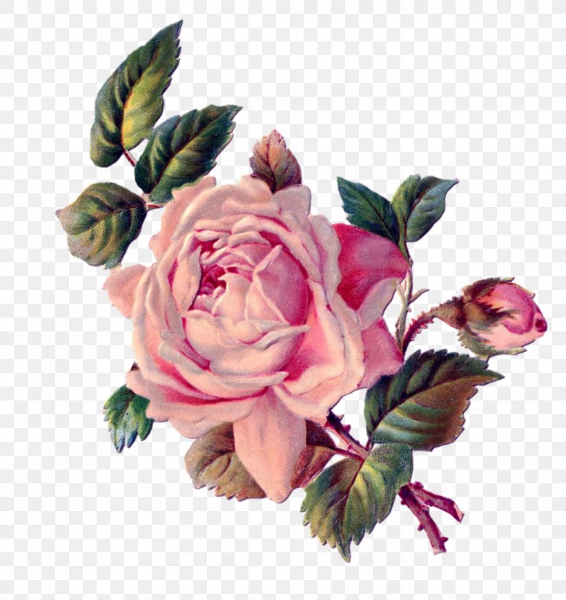 Flower Decoupage Rose Clip Art, PNG, 966x1024px, Flower, Artificial Flower, Color, Cut Flowers, Decoupage Download Free