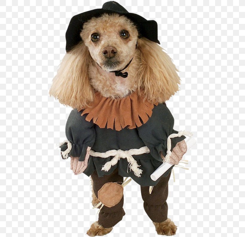 Scarecrow Dorothy Gale The Cowardly Lion The Tin Man The Wizard Of Oz, PNG, 500x793px, Scarecrow, Buycostumescom, Carnivoran, Clothing, Companion Dog Download Free