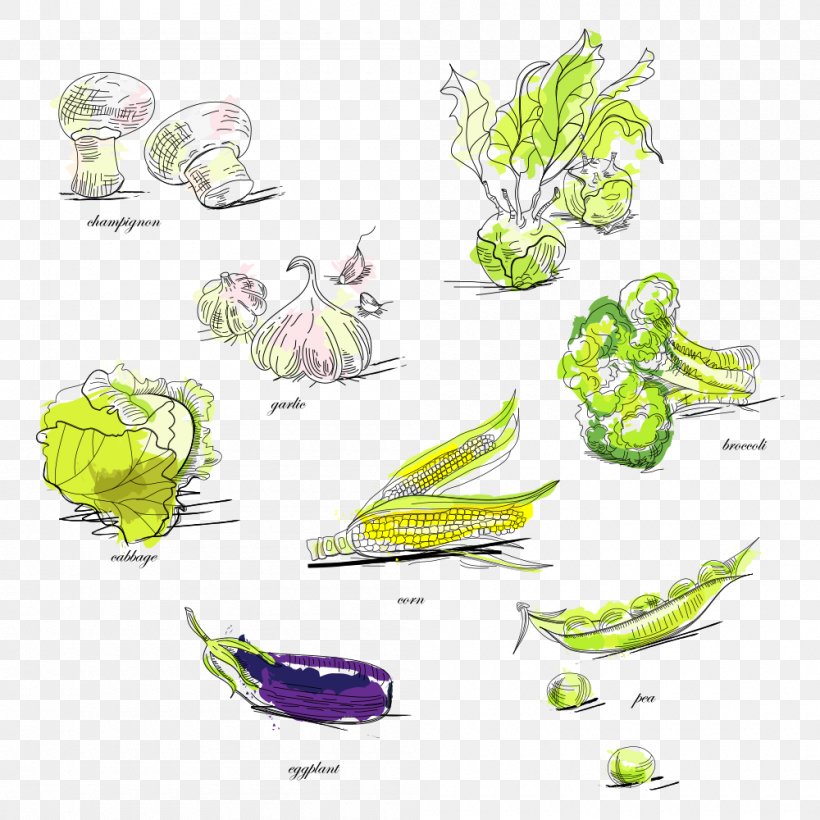Vegetable Broccoli Pea Illustration, PNG, 1000x1000px, Vegetable, Area, Auglis, Brand, Broccoli Download Free