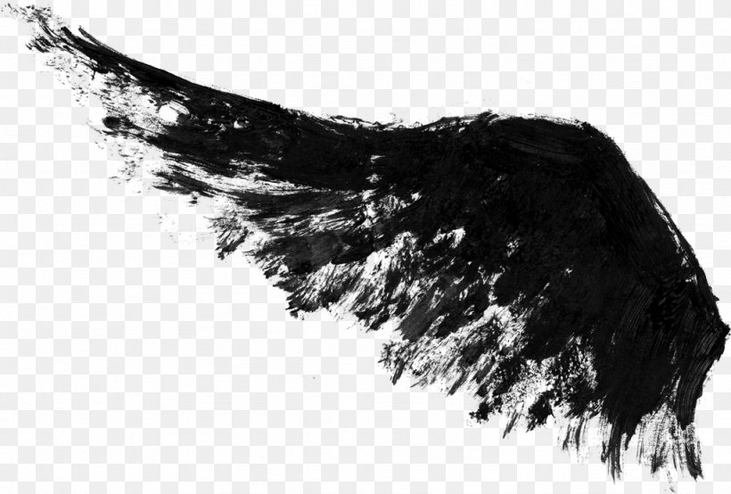 Black And White Ink Wing, PNG, 1024x692px, Black, Black And White, Ink, Inkstick, Monochrome Download Free