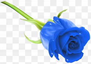Blue Rose Clip Art Image - Blue Rose Flower Stock Photography Clip Art PNG