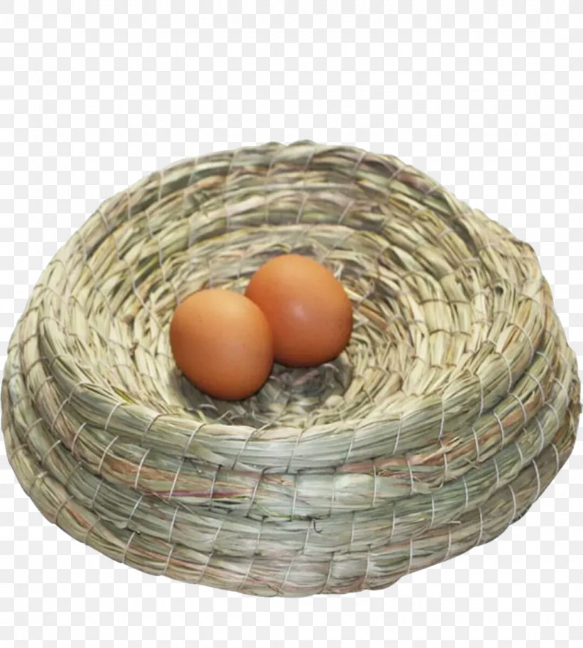 Edible Birds Nest Egg, PNG, 1080x1200px, Bird, Android, Animal, Basket, Bird Nest Download Free