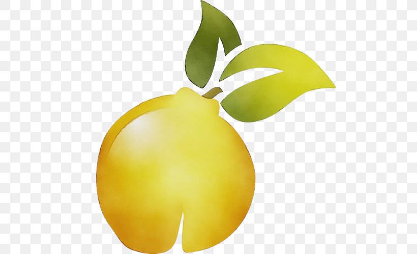 Lemon Tree, PNG, 500x500px, Lemon, Apple, Flower, Fruit, Leaf Download Free