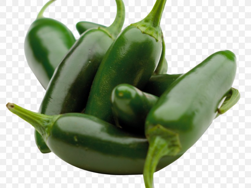 Serrano Pepper Bell Pepper Jalapeño Pasilla Poblano, PNG, 1024x768px, Serrano Pepper, Bell Pepper, Bell Peppers And Chili Peppers, Capsicum, Cayenne Pepper Download Free