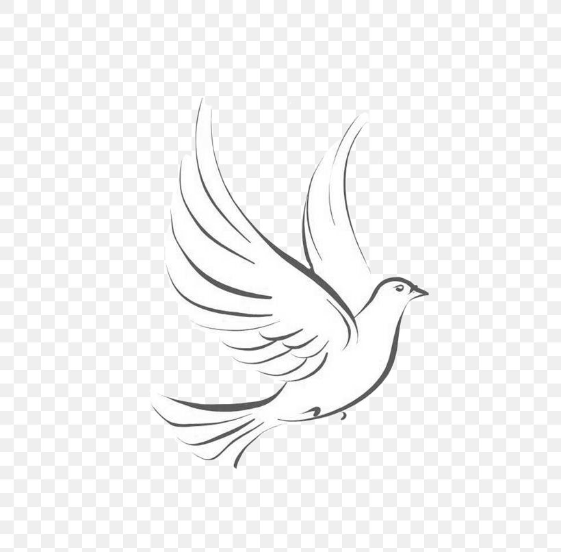 Line Art Pigeons And Doves Drawing Japari School Graphics, PNG, 818x806px, 2018, Line Art, Art, Artwork, Beak Download Free
