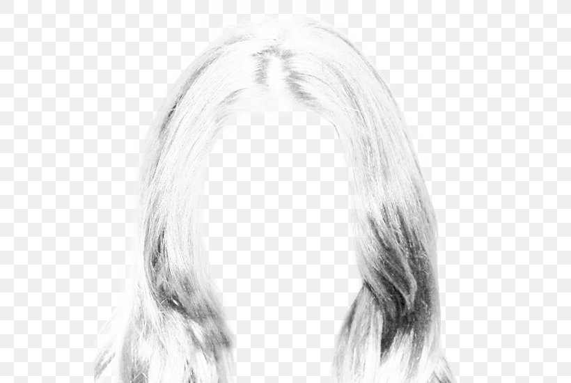 Long Hair Hairstyle Canities, PNG, 640x550px, Hair, Black And White, Black Hair, Brightness, Canities Download Free