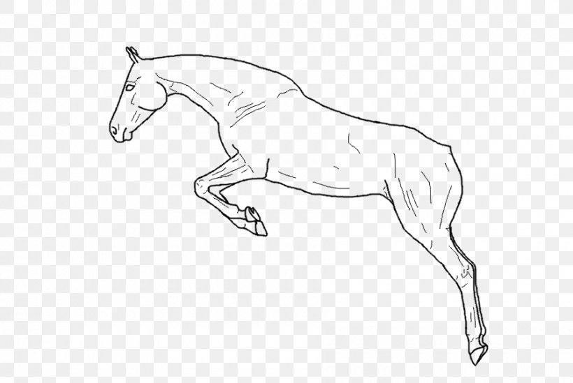 Mule Arabian Horse Foal Mustang Stallion, PNG, 900x603px, Mule, Arabian Horse, Arm, Artwork, Bit Download Free
