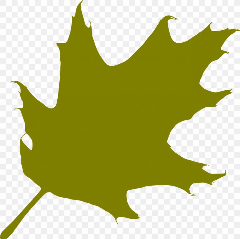 Oak Silhouette Leaf, PNG, 1280x1278px, Oak, Acorn, Autumn Leaf Color, Branch, Drawing Download Free