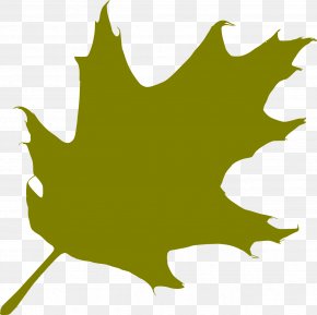 Silhouette - Oak Silhouette Leaf PNG