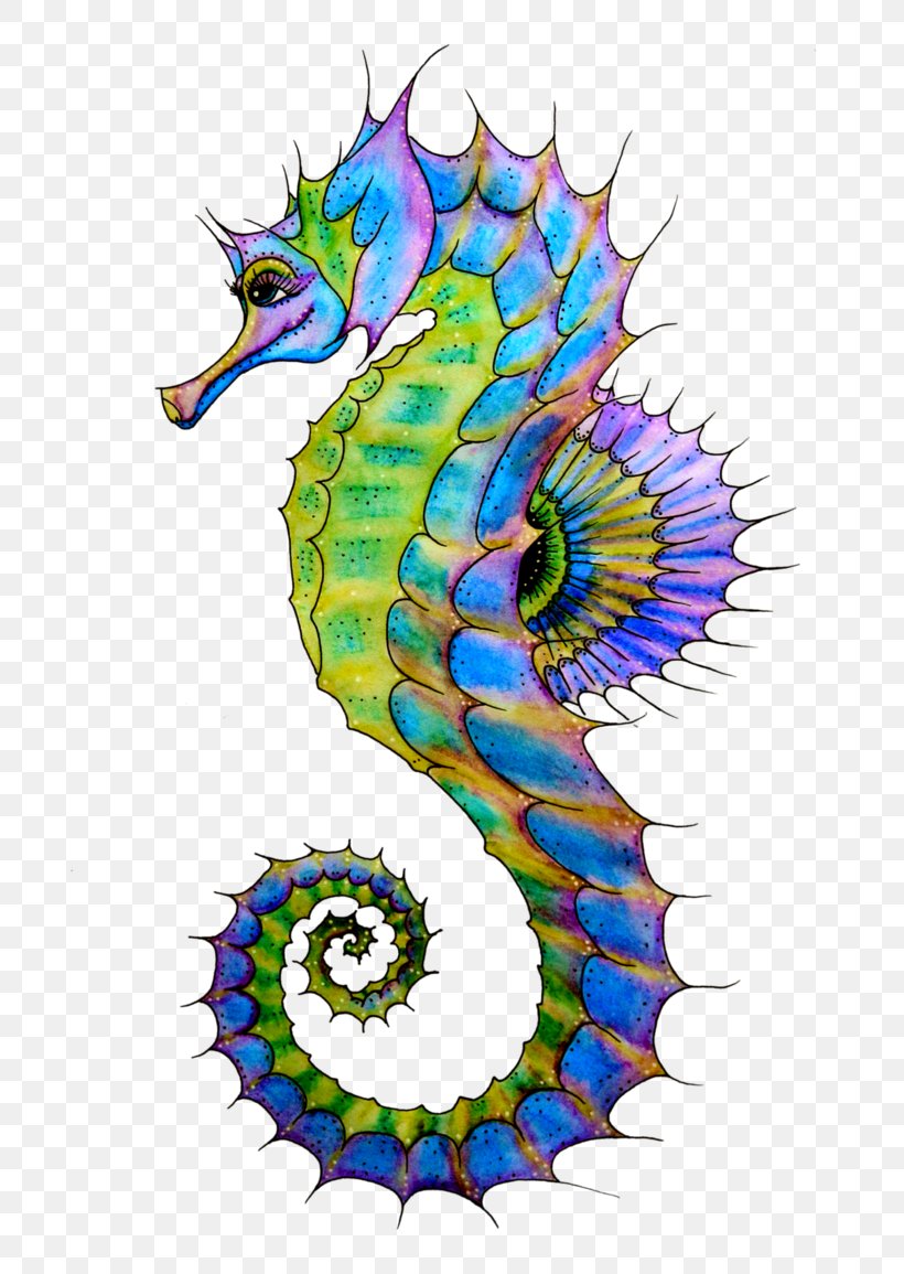 Seahorse Drawing Art Clip Art, PNG, 691x1155px, Seahorse, Art, Clip Art, Drawing, Fin Download Free
