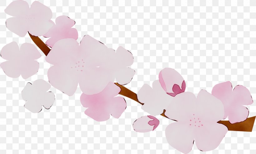 ST.AU.150 MIN.V.UNC.NR AD Pink M Cherry Blossom Cherries, PNG, 1459x879px, Stau150 Minvuncnr Ad, Blossom, Branch, Cherries, Cherry Blossom Download Free