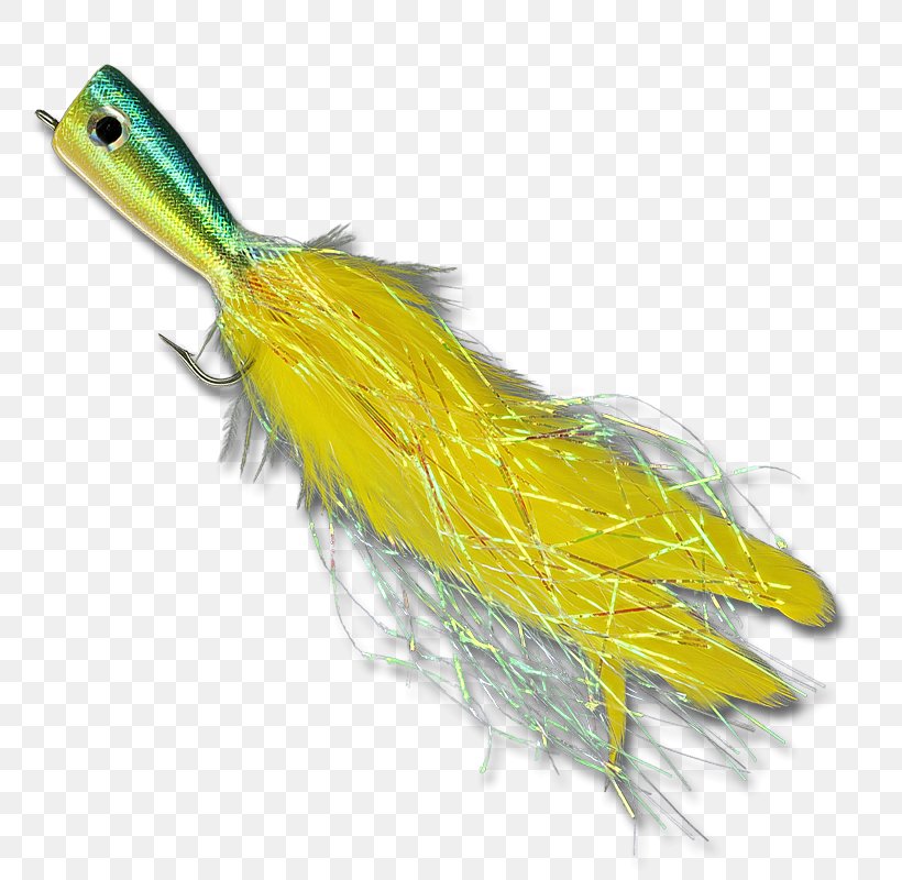 Feather, PNG, 800x800px, Feather, Beak, Fish, Fishing Bait, Tail Download Free