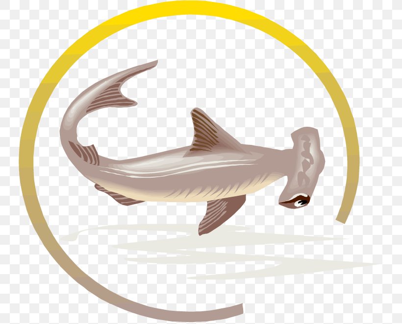Hammerhead Shark Tiger Shark Fish Great White Shark, PNG, 750x662px, Shark, Animal, Apex Predator, Bumper Sticker, Fish Download Free